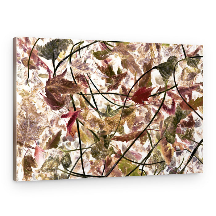 Ethereal Fall Foliage – Canvas Print