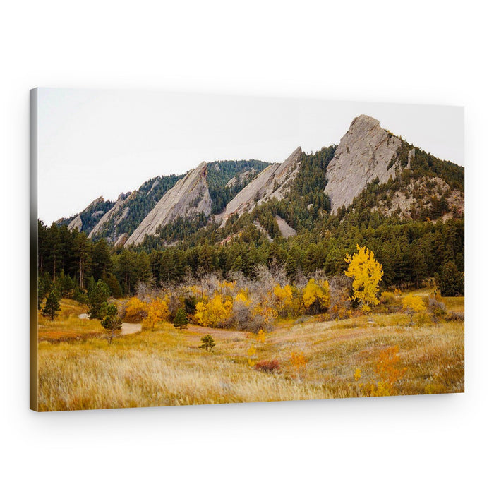 Golden Flatirons Landscape – Canvas Print