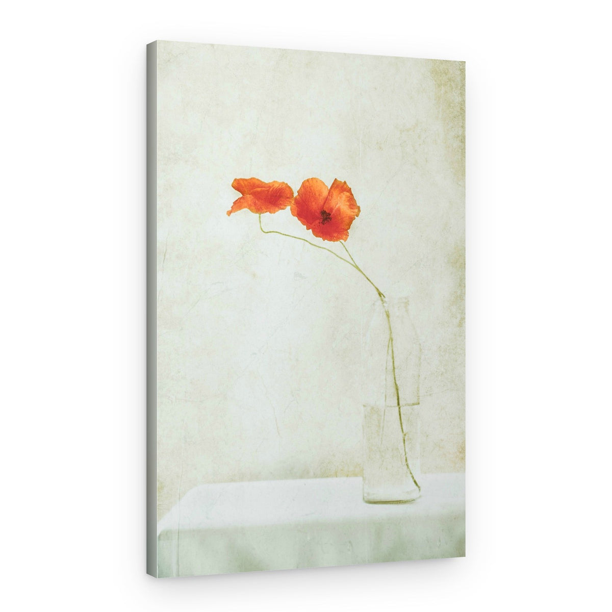 Delicate Poppies in Vase – Canvas Print