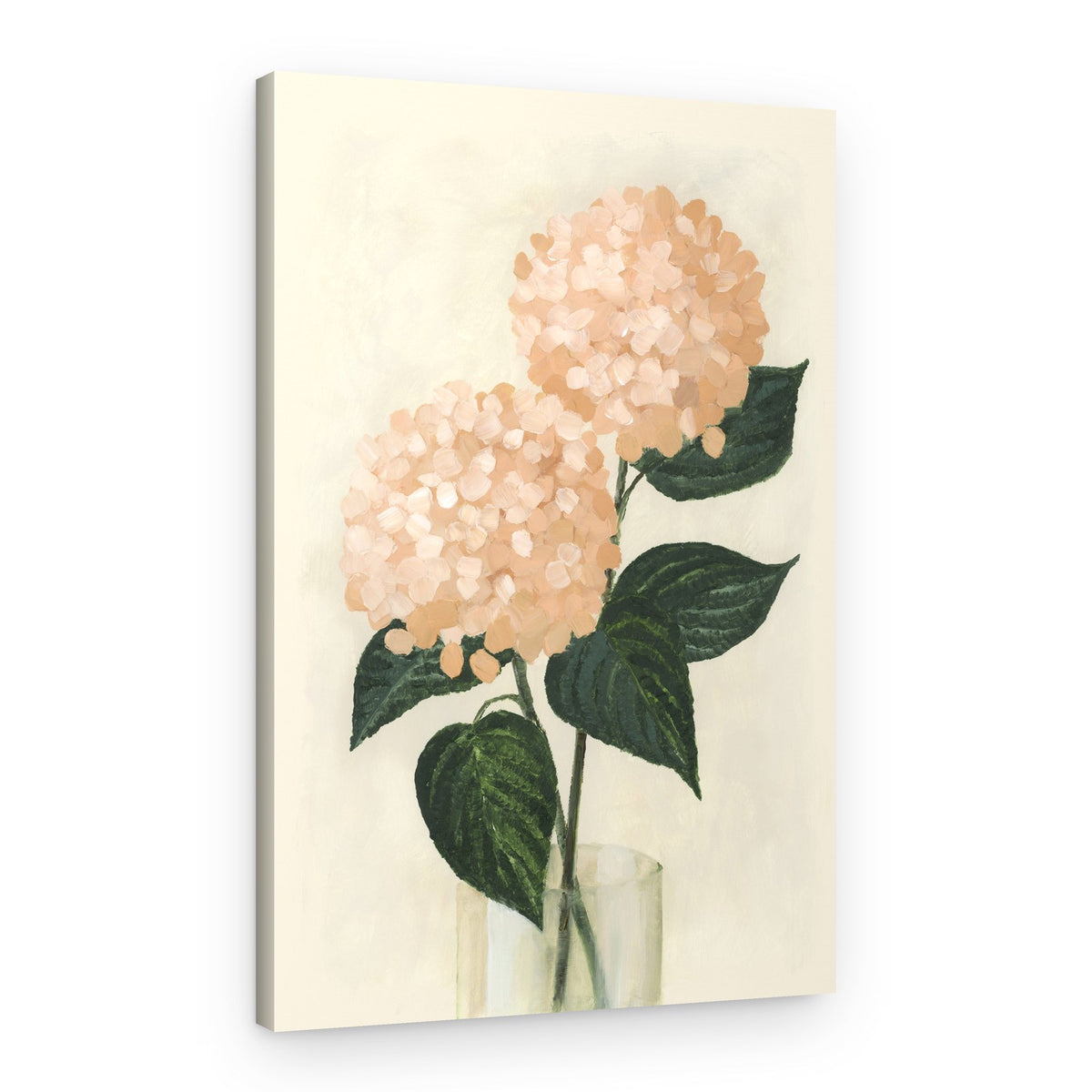 Soft Peach Hydrangeas – Canvas Print