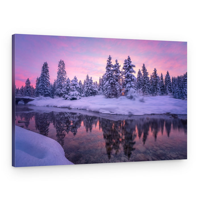 Pink Winter Reflections – Canvas Print