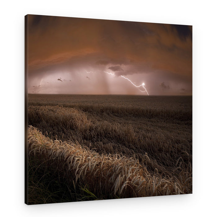 Golden Wheat Thunderstorm – Canvas Print