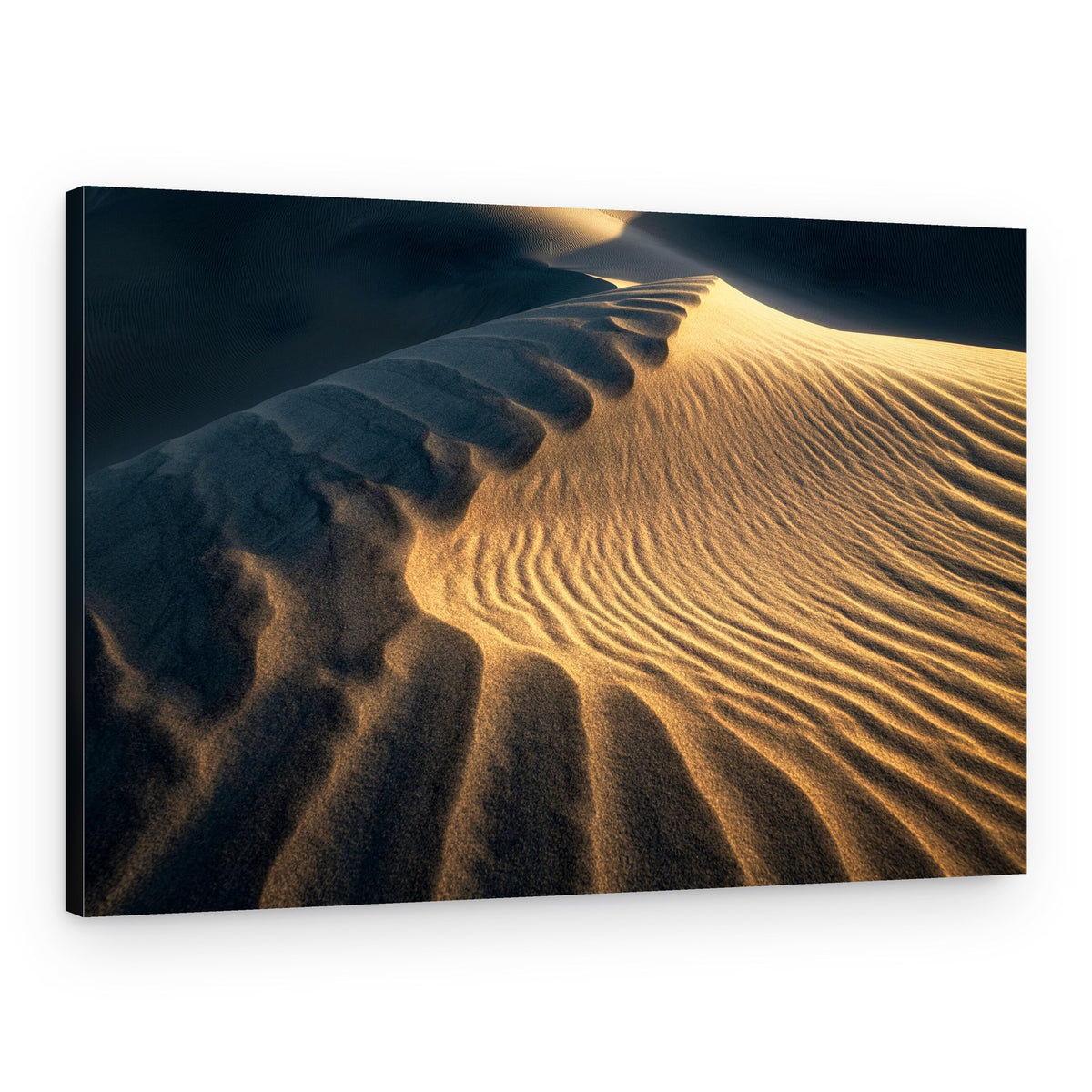 Golden Desert Dunes – Canvas Print