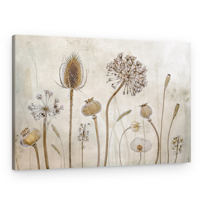 Growing old – Canvas Print