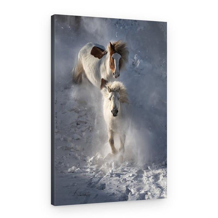 Wild Winter Horses – Canvas Print