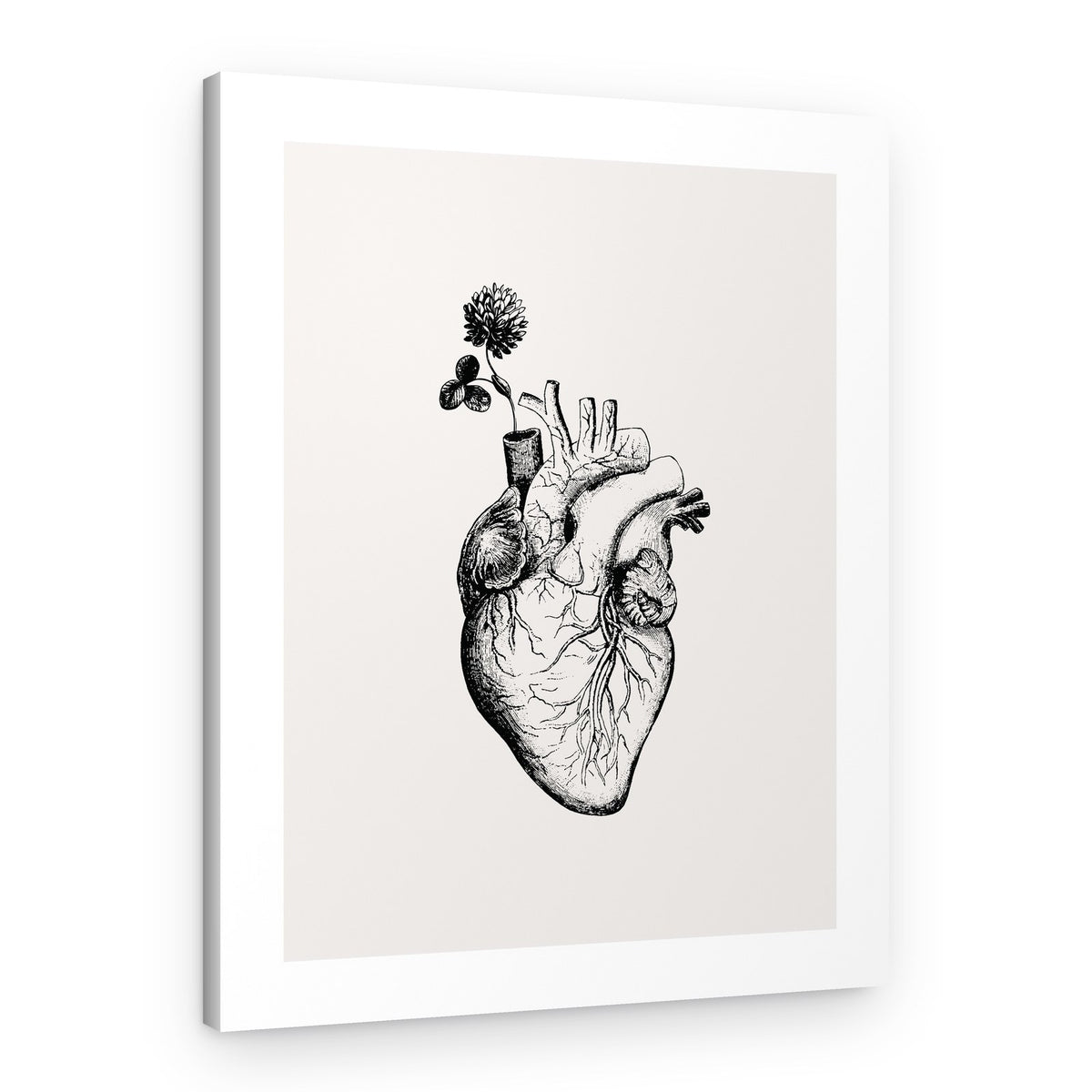 Clover Heart Bloom – Canvas Print
