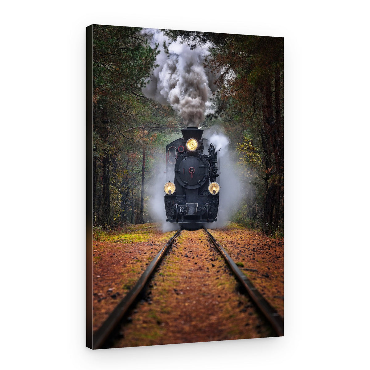 Forest Steam Train – Canvas Print