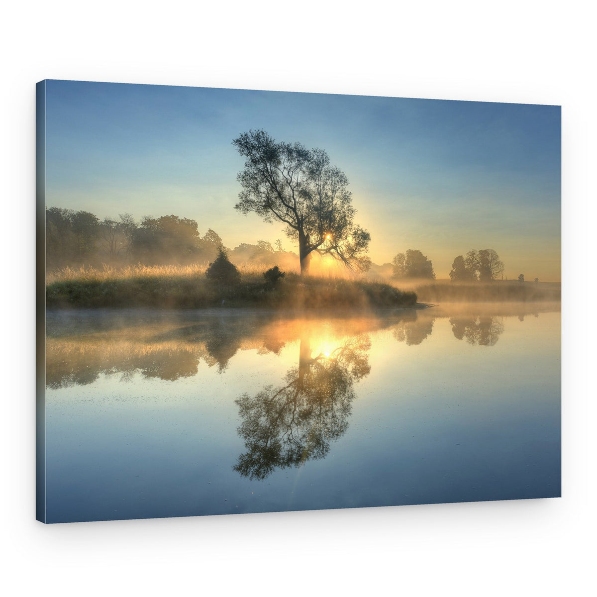 Golden Morning Mist – Canvas Print