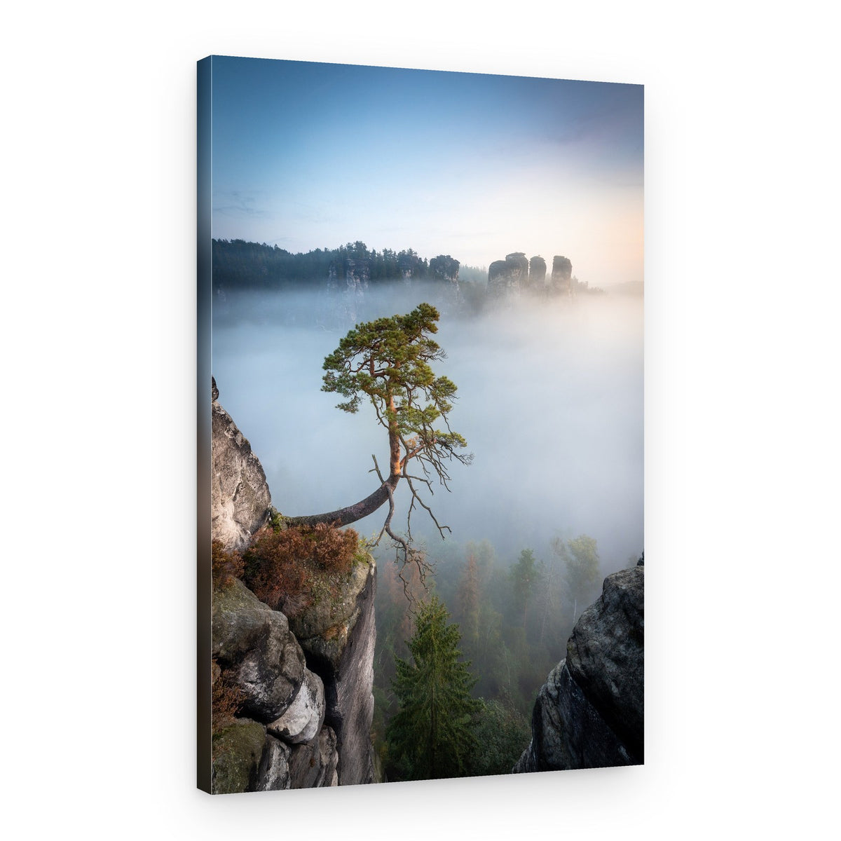 Misty Cliffside Tree – Canvas Print