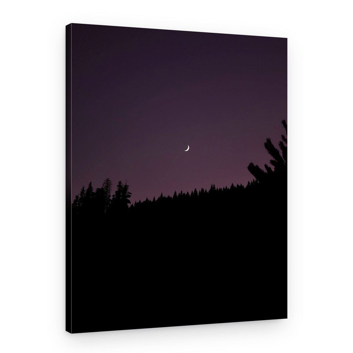 Purple Sky Crescent Moon – Canvas Print