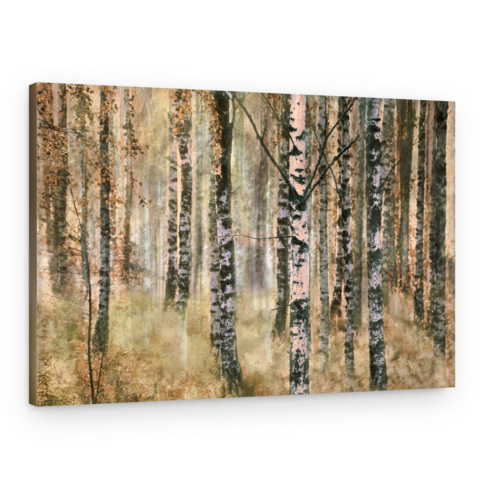 Autumn Birch Forest – Canvas Print