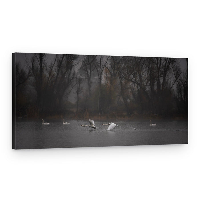 Flying low above the foggy lake – Canvas Print