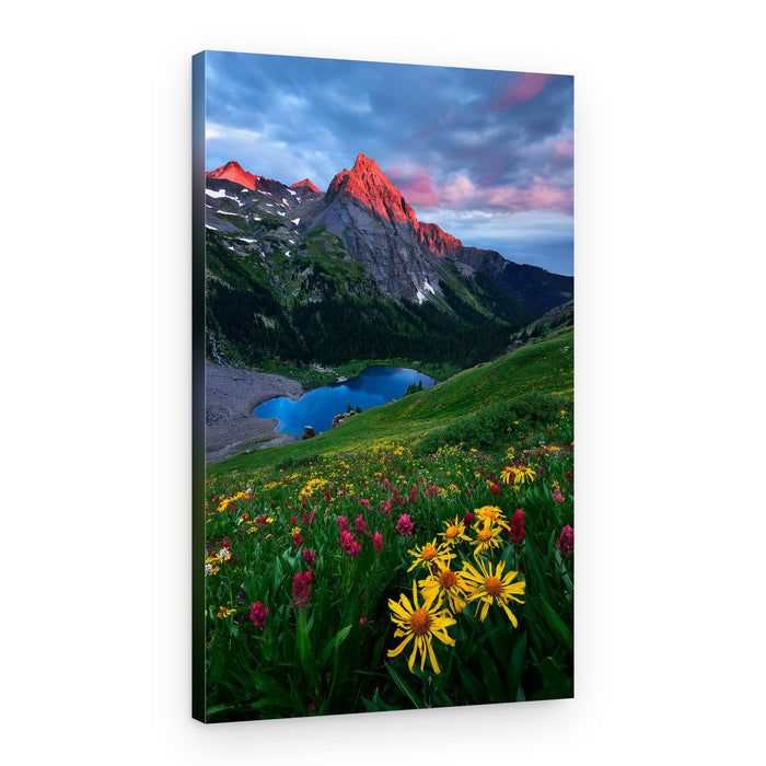 Sunset Mountain Wildflowers – Canvas Print
