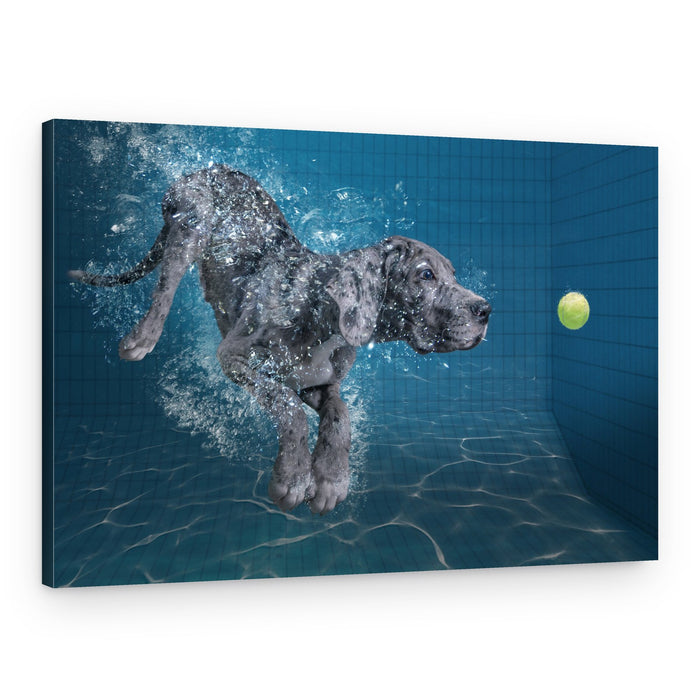 Playful Puppy Dive – Canvas Print