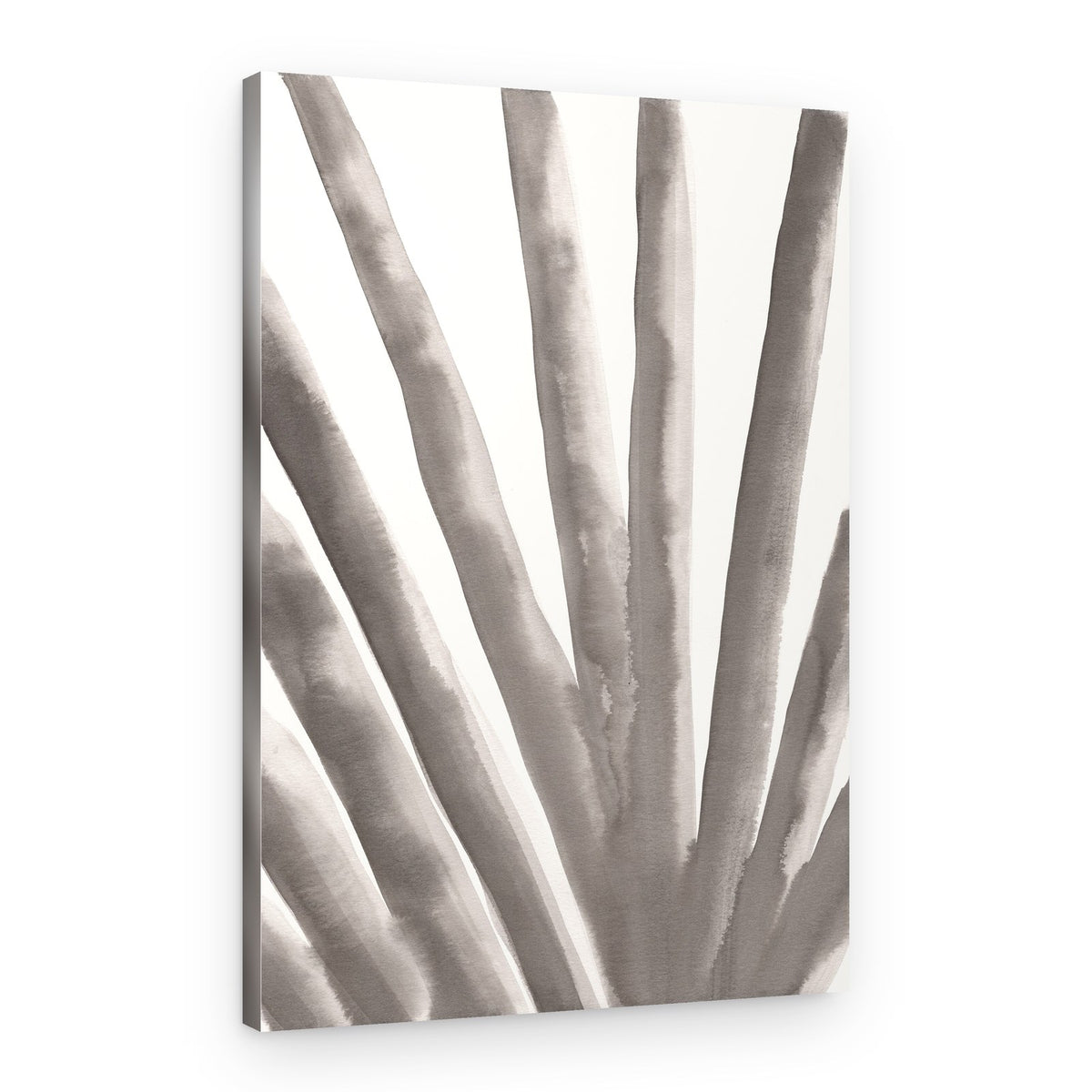 Soft Organic Strokes – Canvas Print