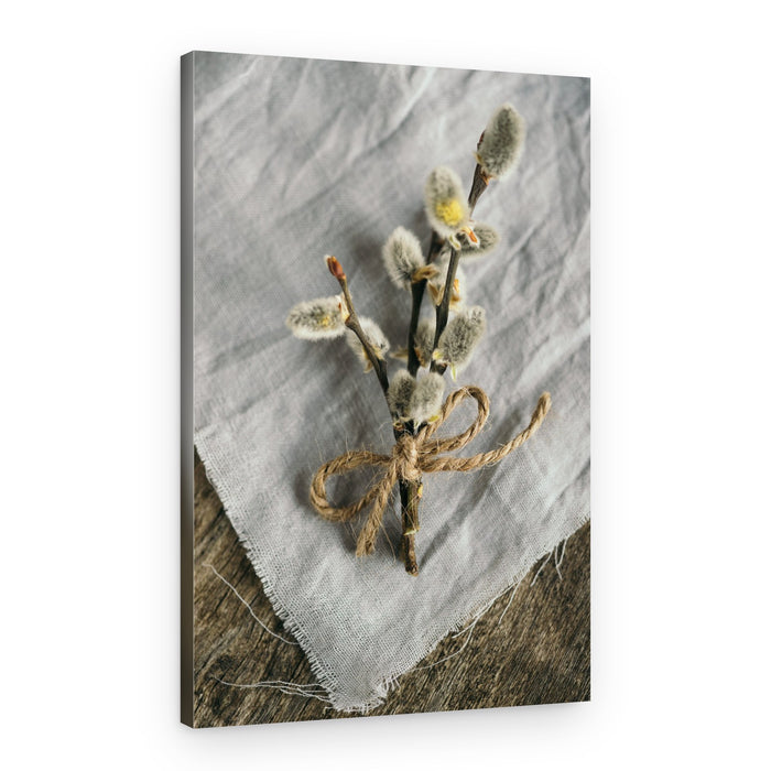 Rustic Pussy Willow Branches – Canvas Print