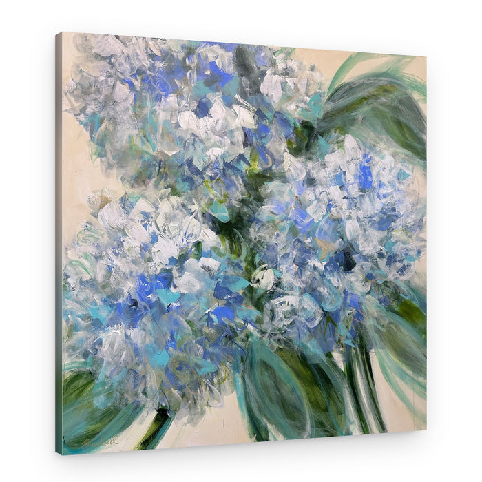 Blue Hydrangea Blooms – Canvas Print