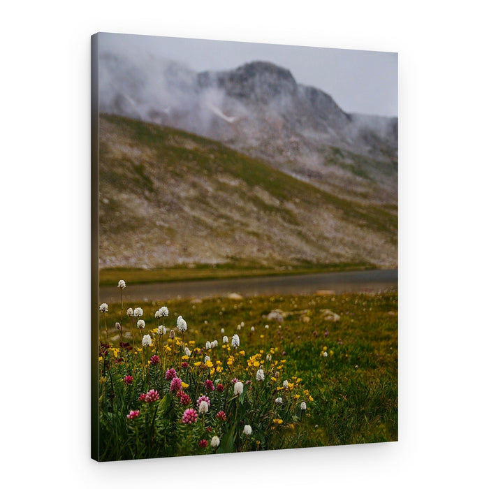 Misty Mountain Wildflowers – Canvas Print