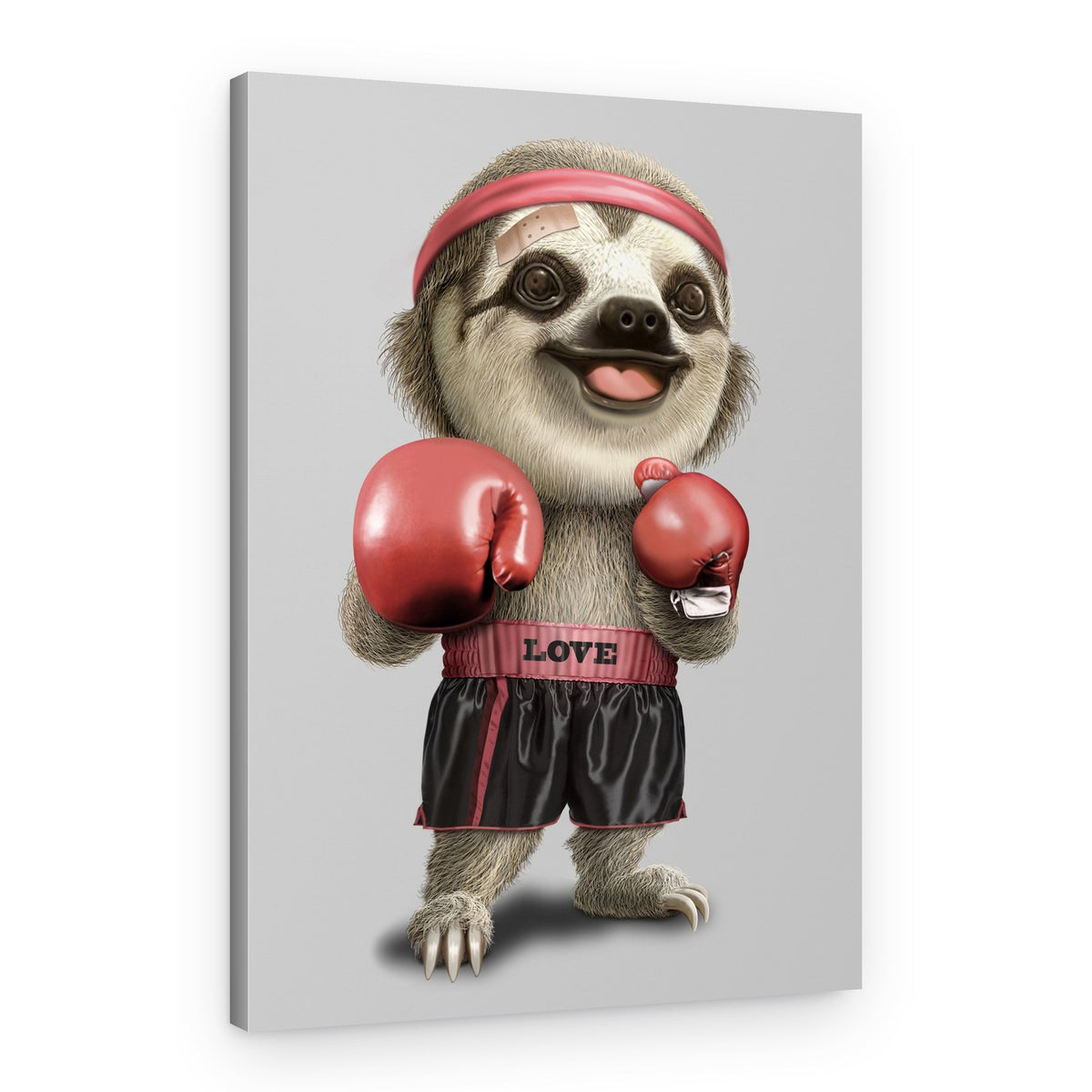 Cute Boxing Sloth – Canvas Print