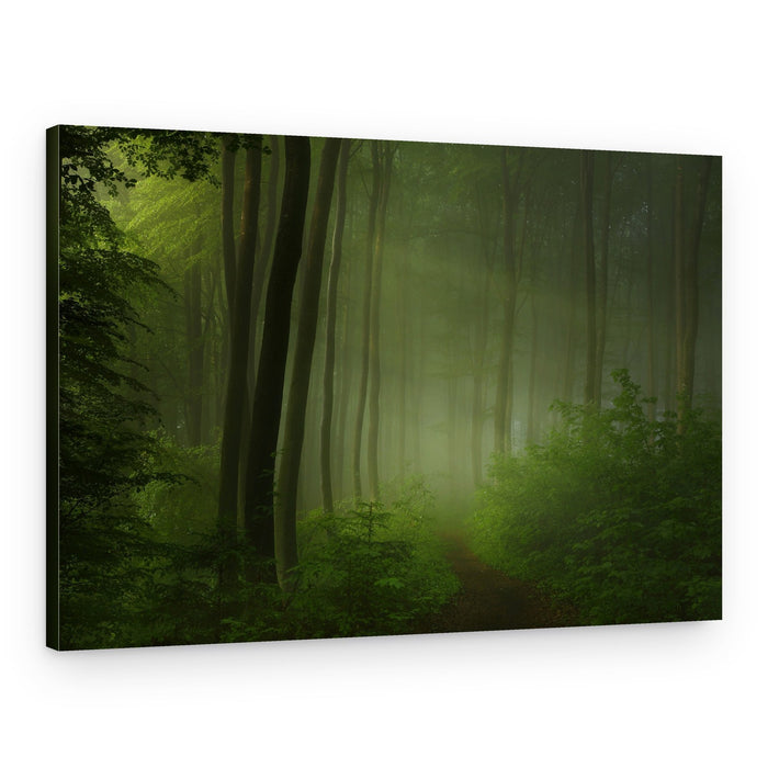 Misty Forest Path – Canvas Print
