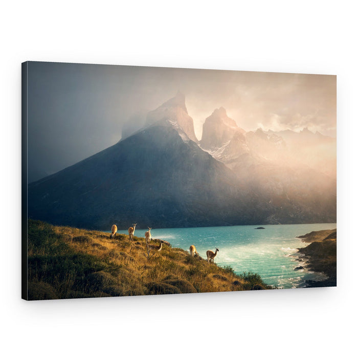 Guanacos Patagonia Peaks – Canvas Print
