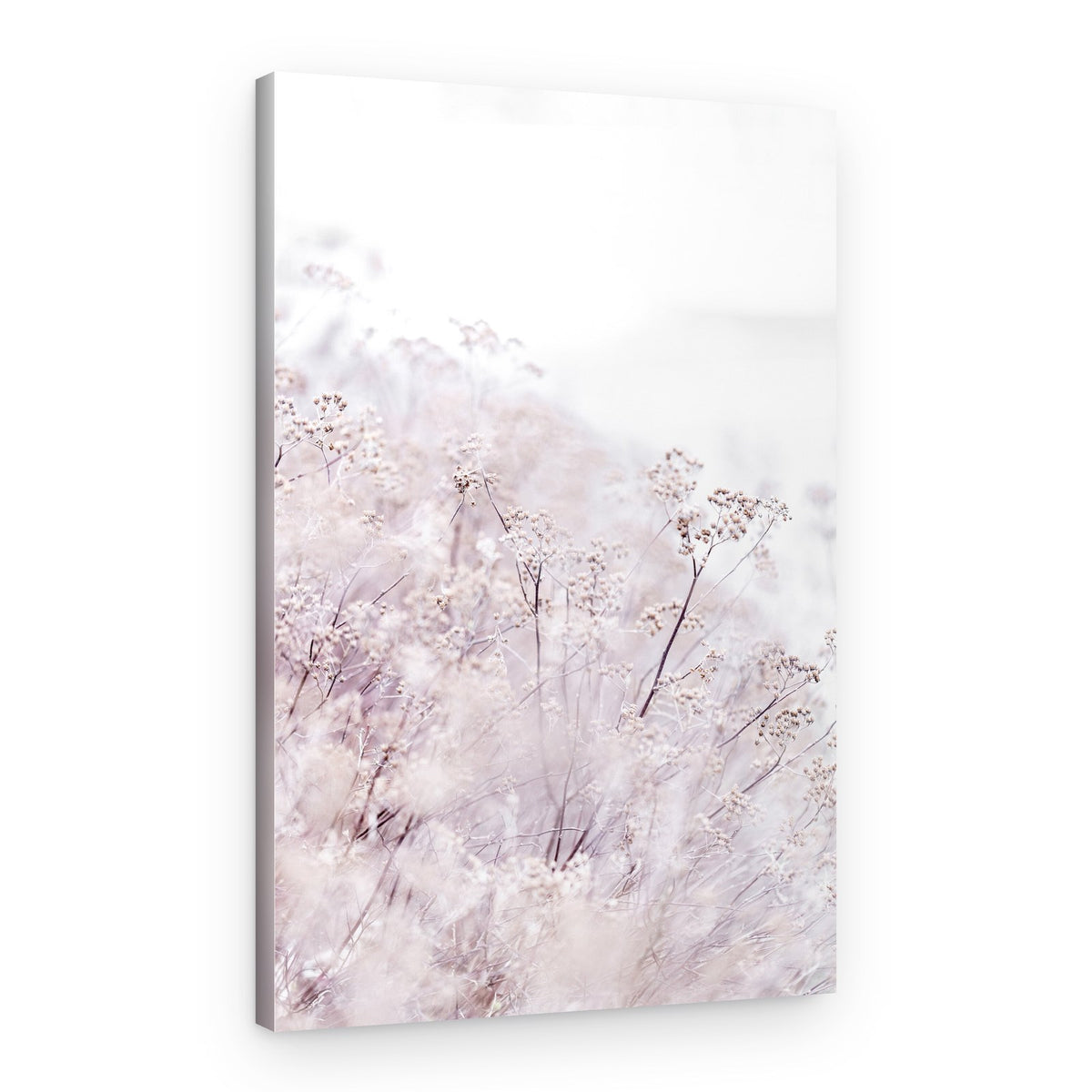 Unknown 13 – Canvas Print