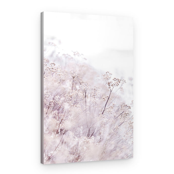 Unknown 13 – Canvas Print