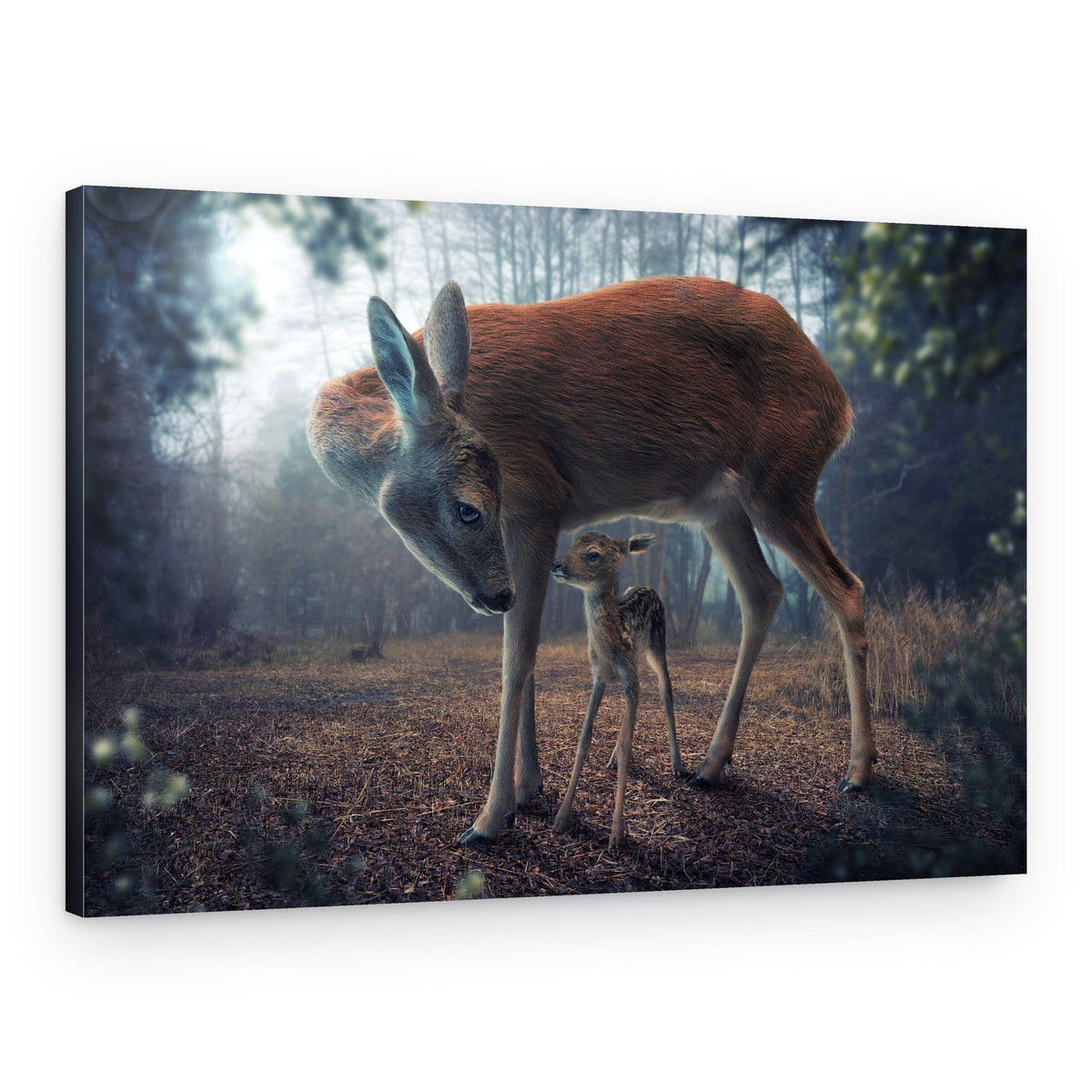 Mother Deer and Fawn – Canvas Print