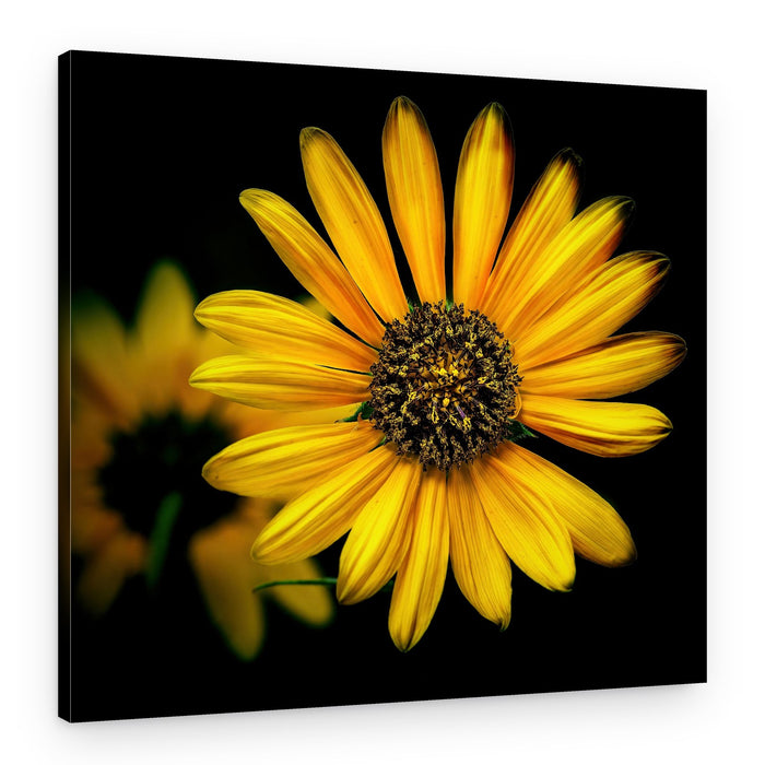 Yellow Margarita – Canvas Print
