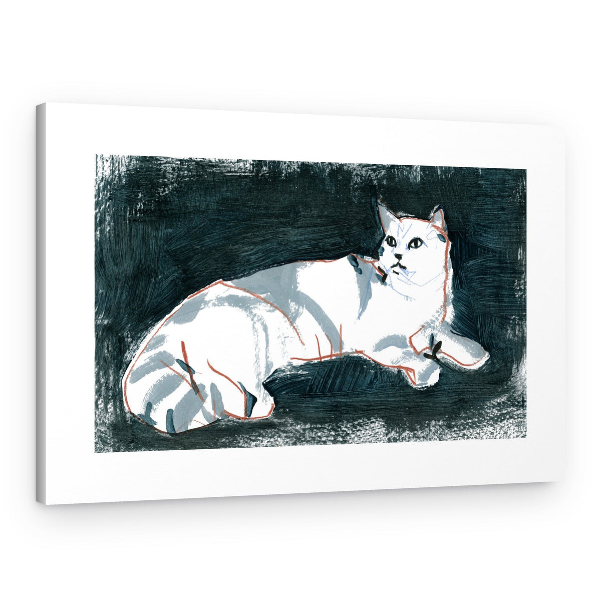 Lying White Cat – Canvas Print