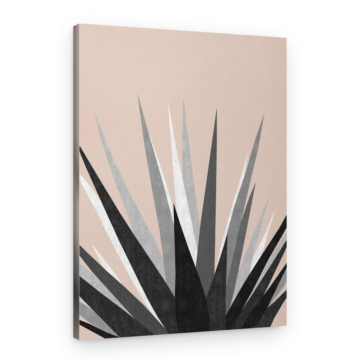 Chic Geometric Agave – Canvas Print