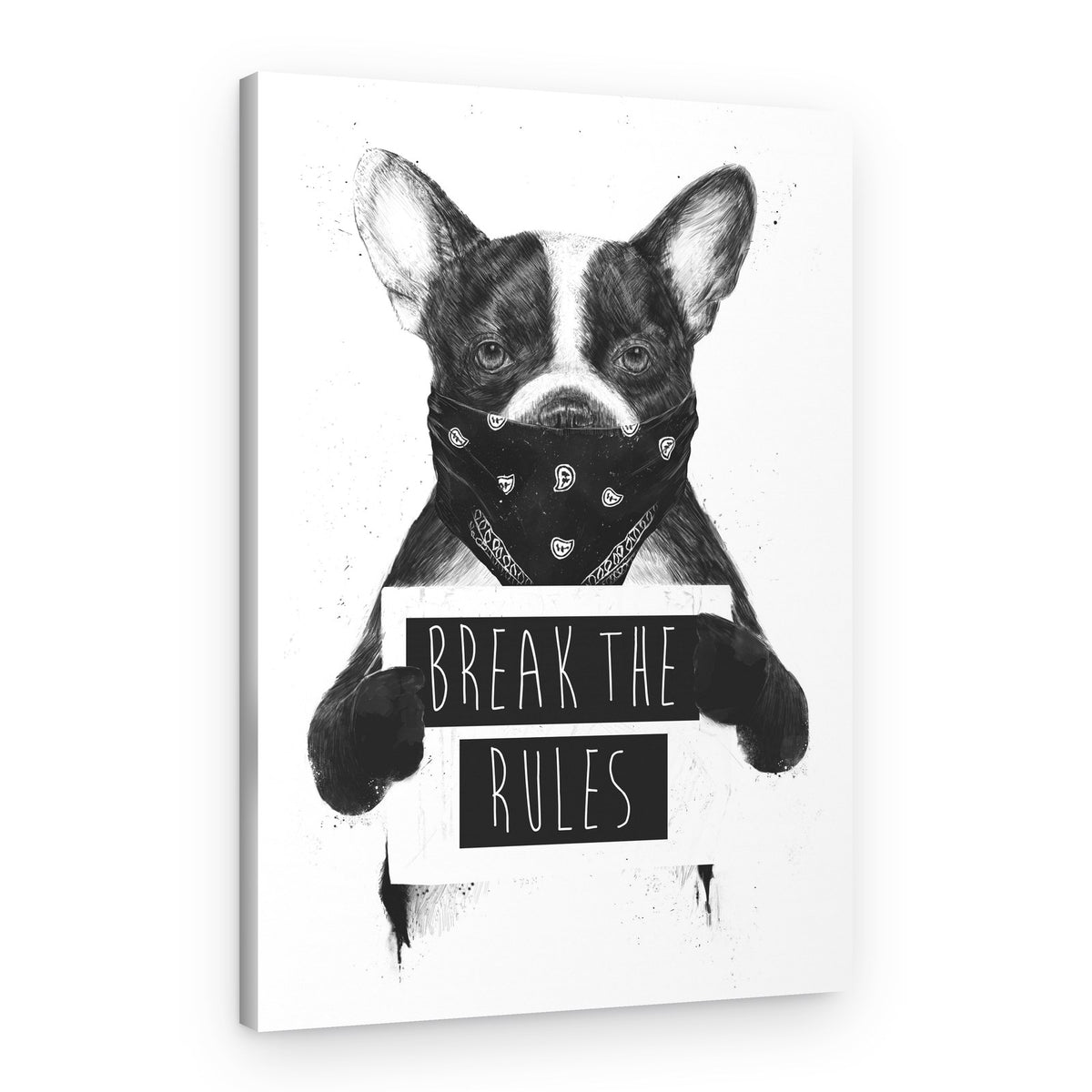Rebel French Bulldog – Canvas Print