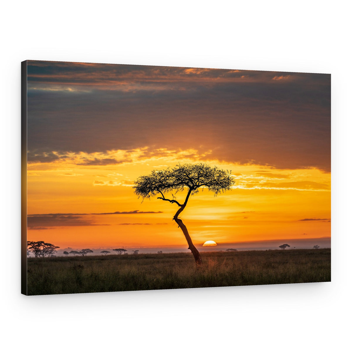 Golden African Sunset – Canvas Print