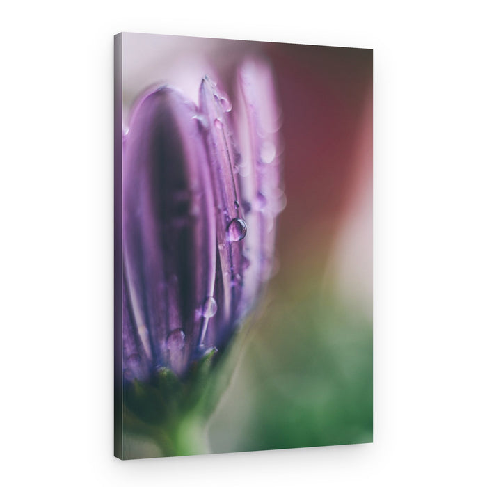 Dewy Purple Flower – Canvas Print