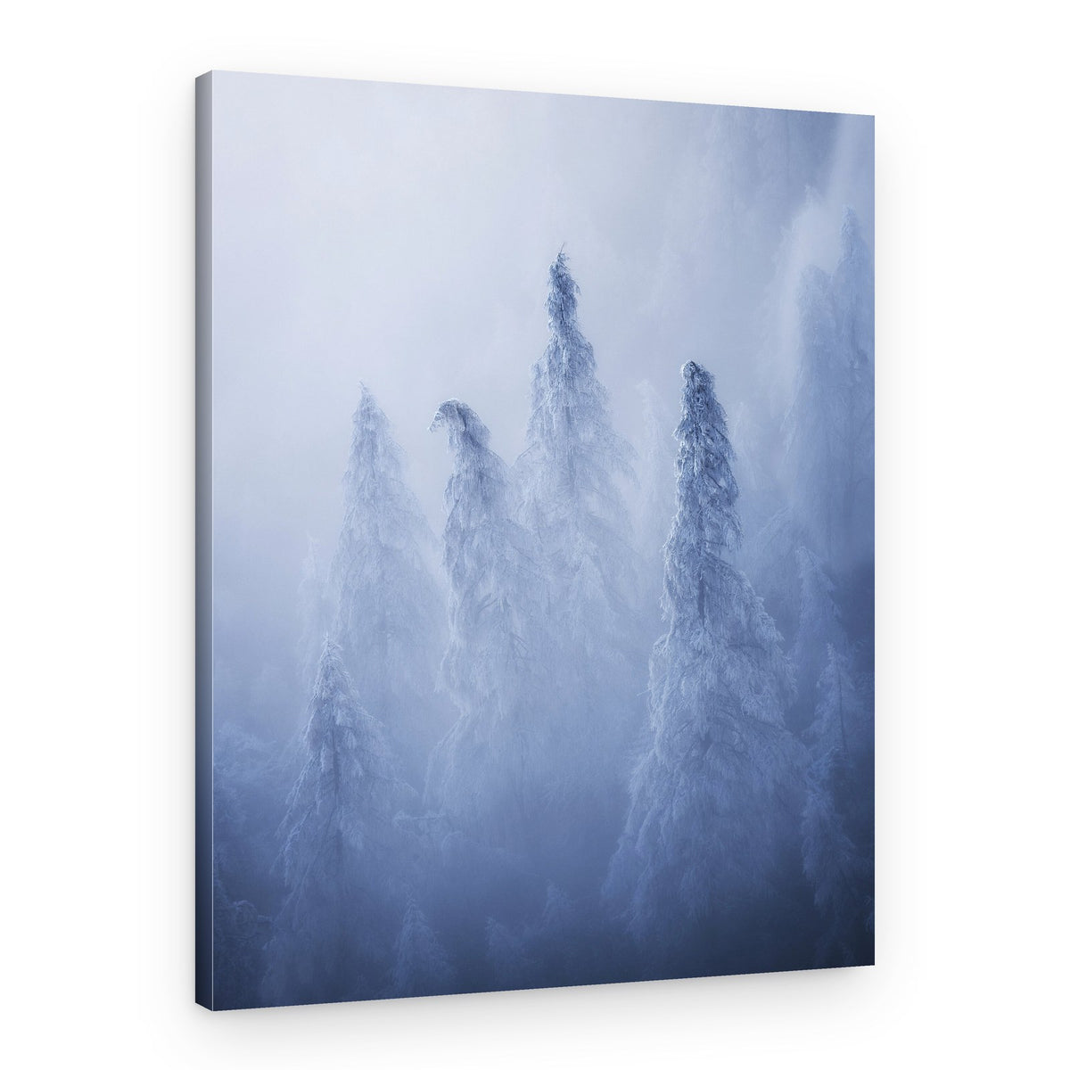 Misty Winter Forest – Canvas Print