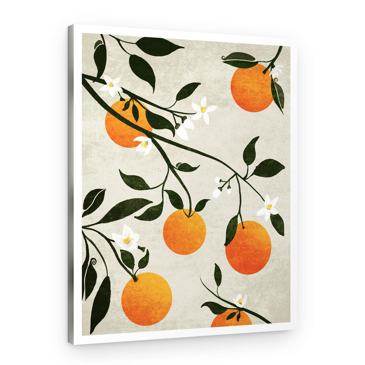 Oranges in Bloom – Canvas Print