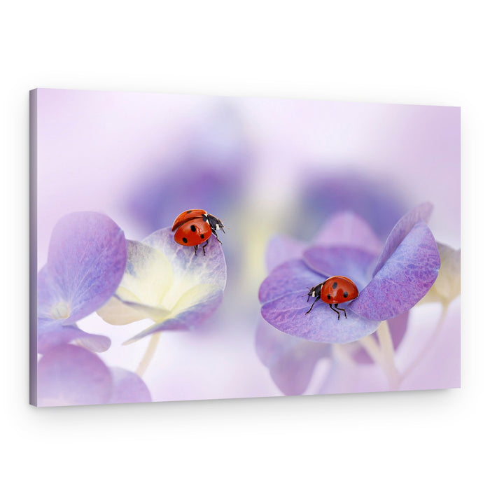 Delicate Ladybugs on Purple – Canvas Print