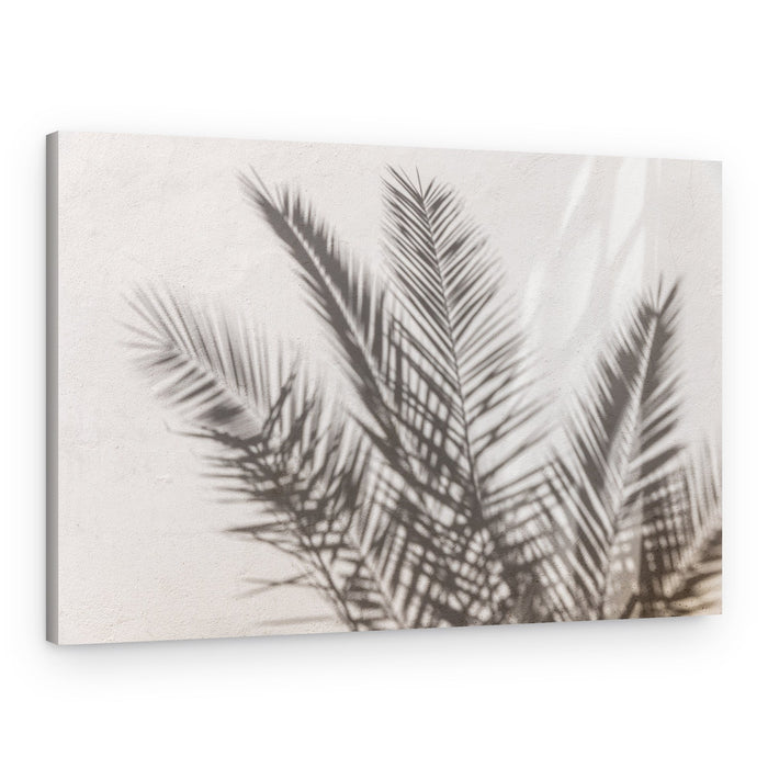 Palm Shadow Play – Canvas Print