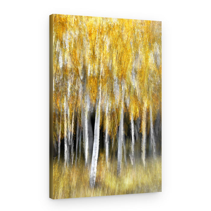 Golden Autumn Forest – Canvas Print