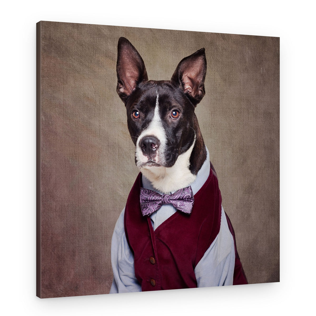Dapper Dog In Vest – Canvas Print