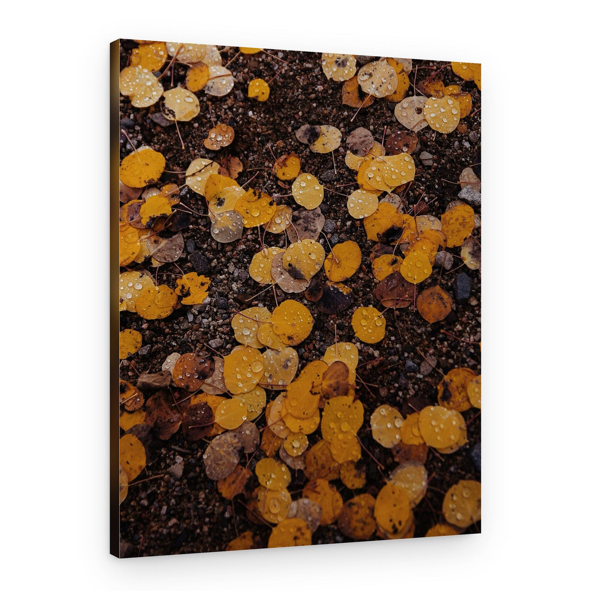 Golden Autumn Leaves – Canvas Print