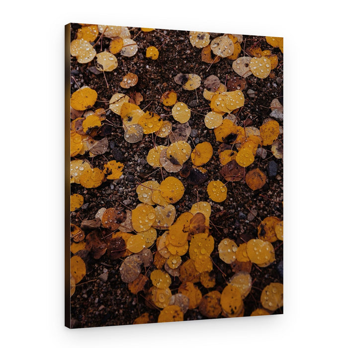 Golden Autumn Leaves – Canvas Print