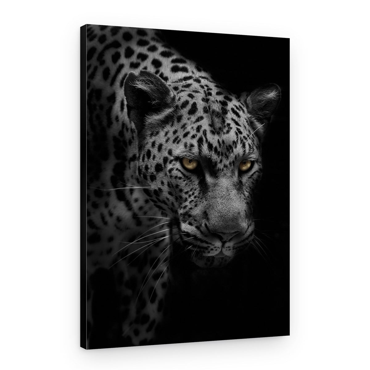 Powerful Feline Gaze – Canvas Print