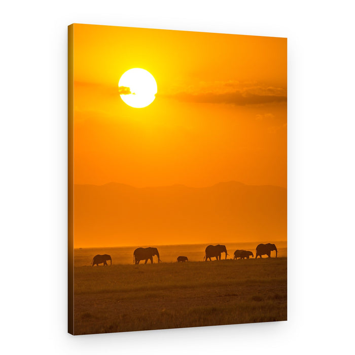 Elephant Family Sunset – Canvas Print