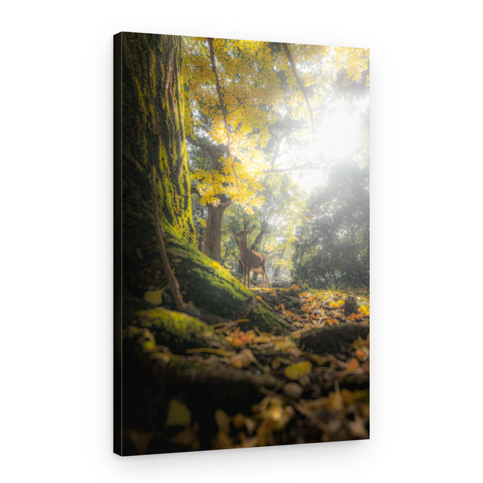Gentle Deer Autumn Glow – Canvas Print