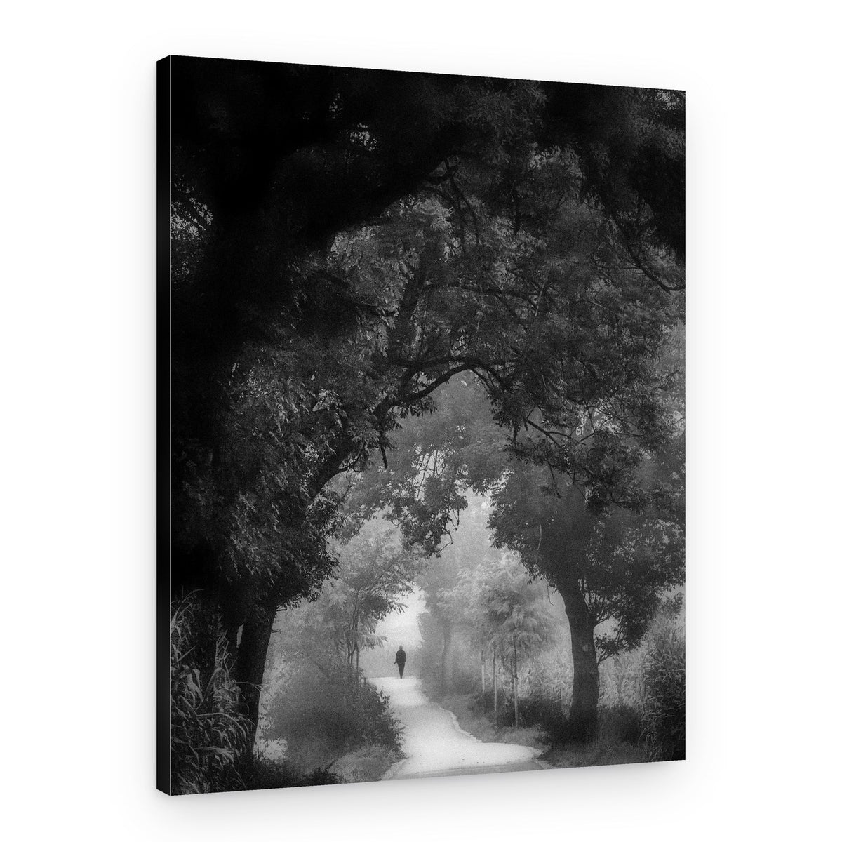 Man on Misty Path – Canvas Print
