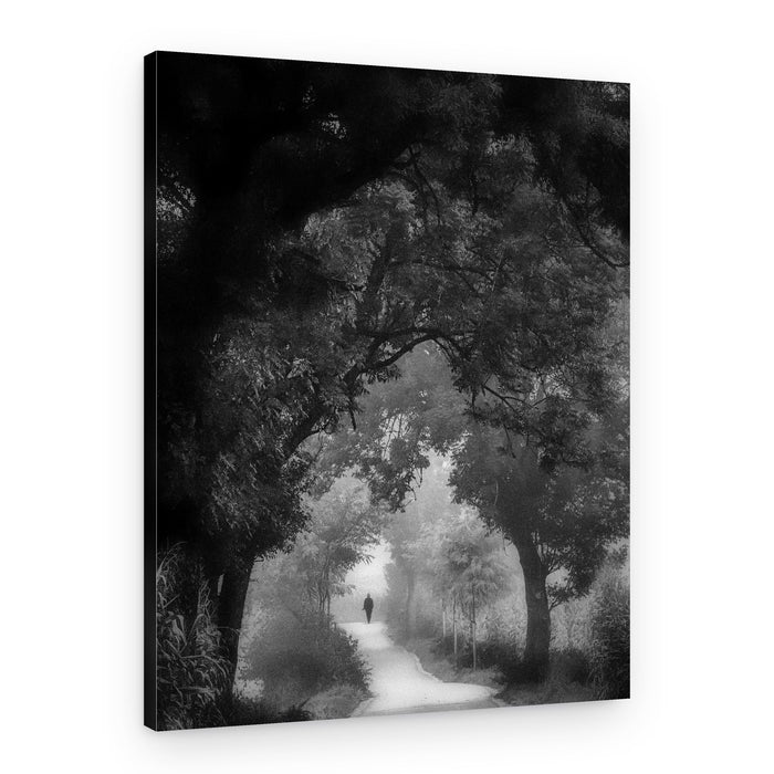 Man on Misty Path – Canvas Print