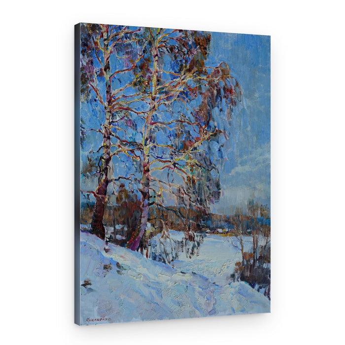 Sunlit Winter Birches – Canvas Print