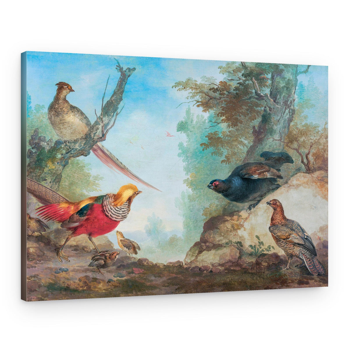 Pheasants – Canvas Print