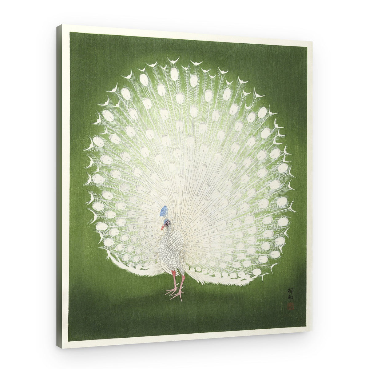 Peacock – Canvas Print